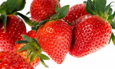 草莓叶子发黄怎么补救