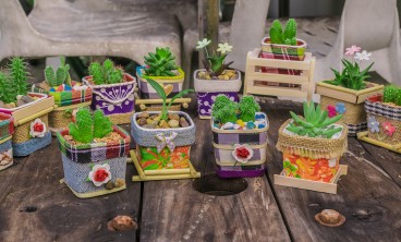 啤酒花的病虫害防治