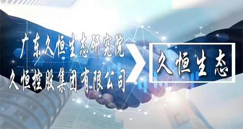 研究院与集团公司联合推出